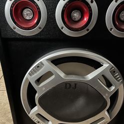 Party Speaker