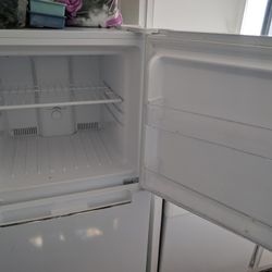 Small Kitchen/Garage Fridge