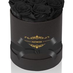 Timeless 7 Black Roses
