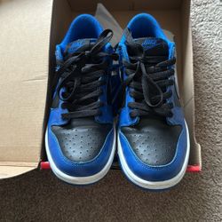 Nike Dunk Low (GS) Size 6y
