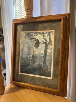 Eagle Nature Art in frame