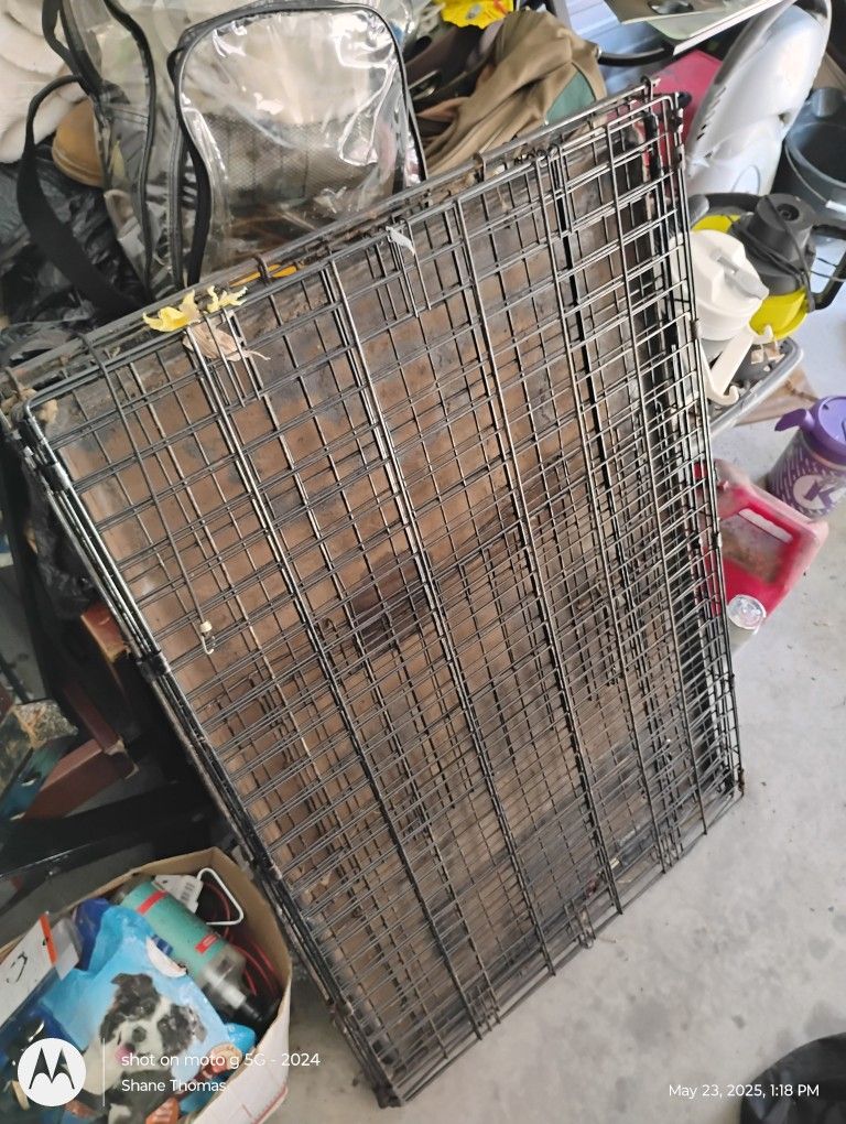 Extra Large Dog Cage And Box Full Of Dog Stuff
