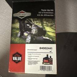 Briggs and Stratton Maintenance Tune-up Kit 