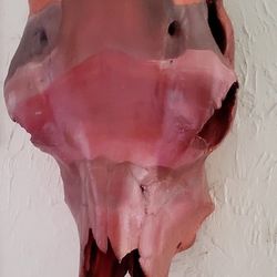 Painted Cow Skull, Desert Skyline