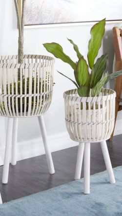 2 piece plant order
