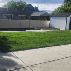 Fence and lanscaping
