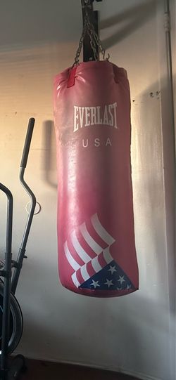 Everlast 80lb punching bag