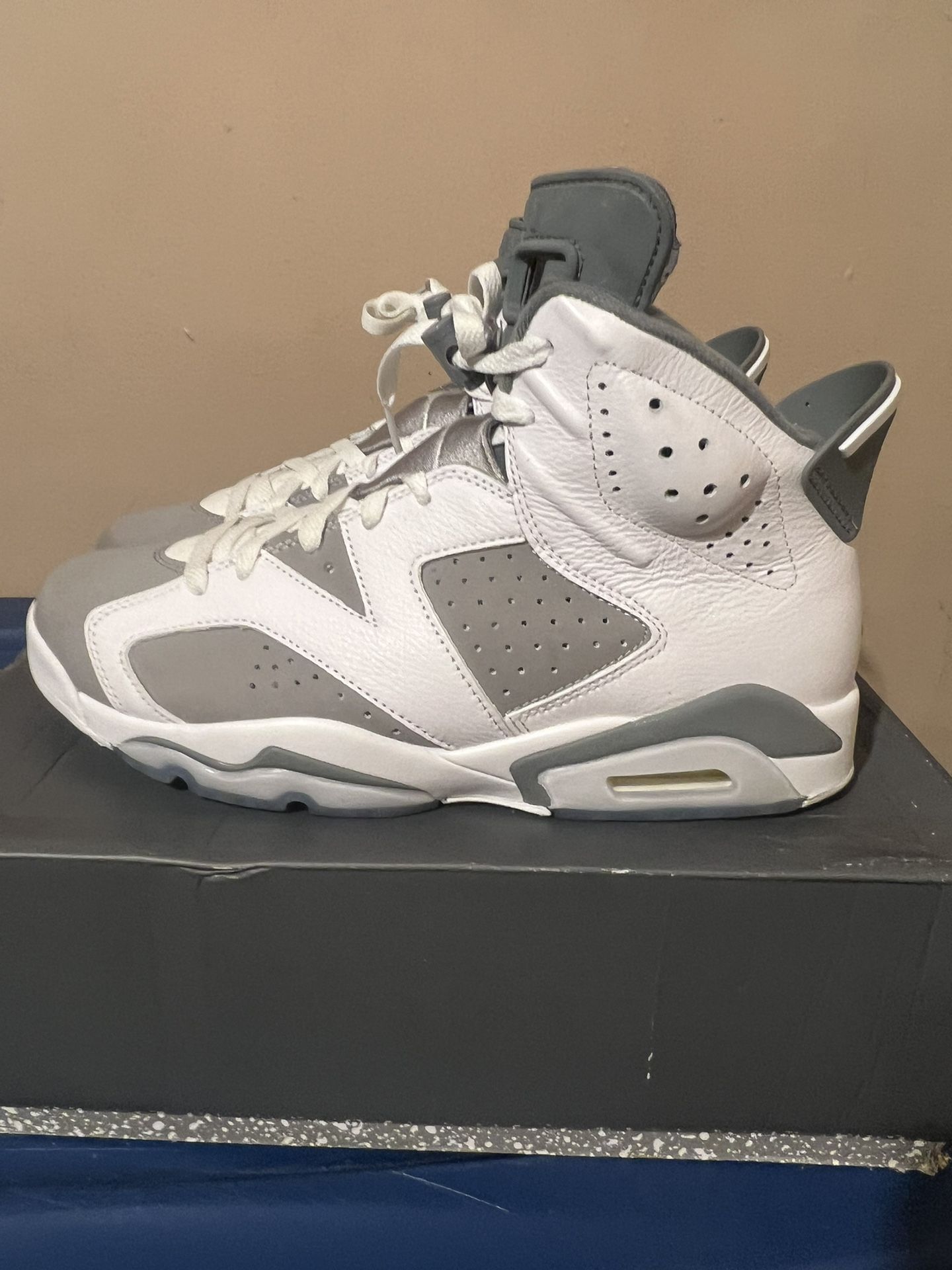 Jordan 6 Cool Grey