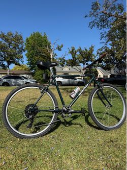 1993 Bianchi Nyala 1x7 Restomod