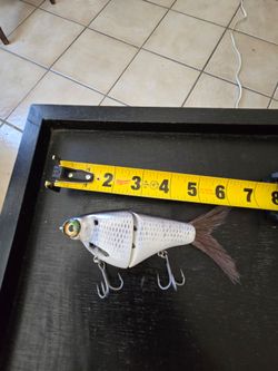 BIGGS SHAD