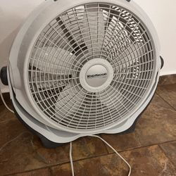 Fan