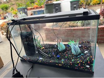 10 gal tank complete