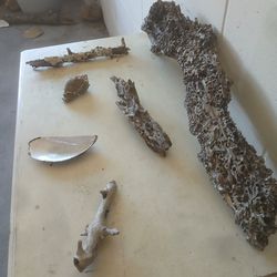 Aquarium Natural Driftwood