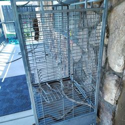 Bird Cage 