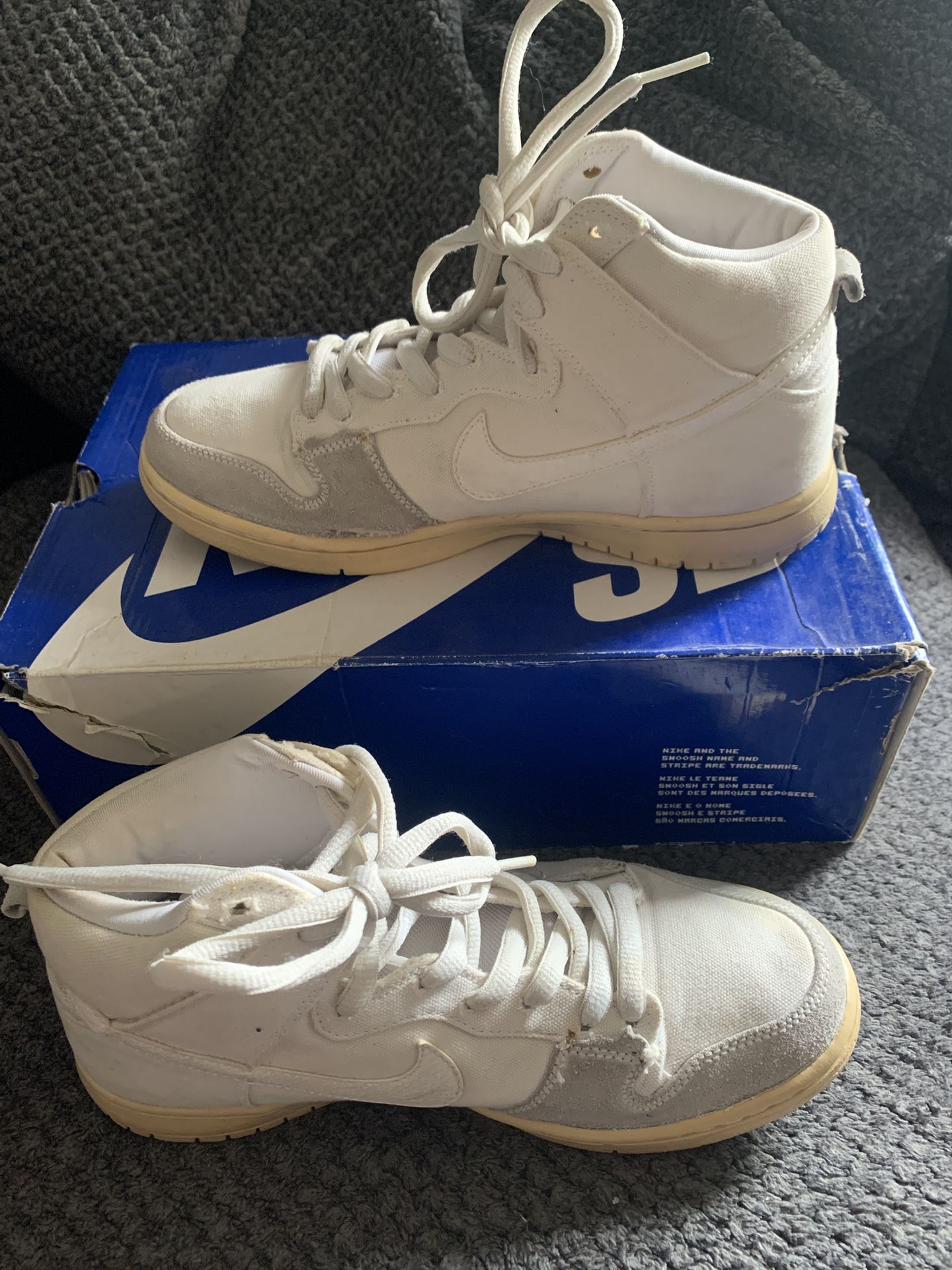 DUNK HIGH PRO SB 'METALLIC SUMMIT WHITE'
