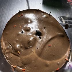 Reptile Orange Springtails Bioactive