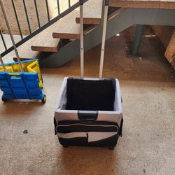 Collapsible Rolling Carts