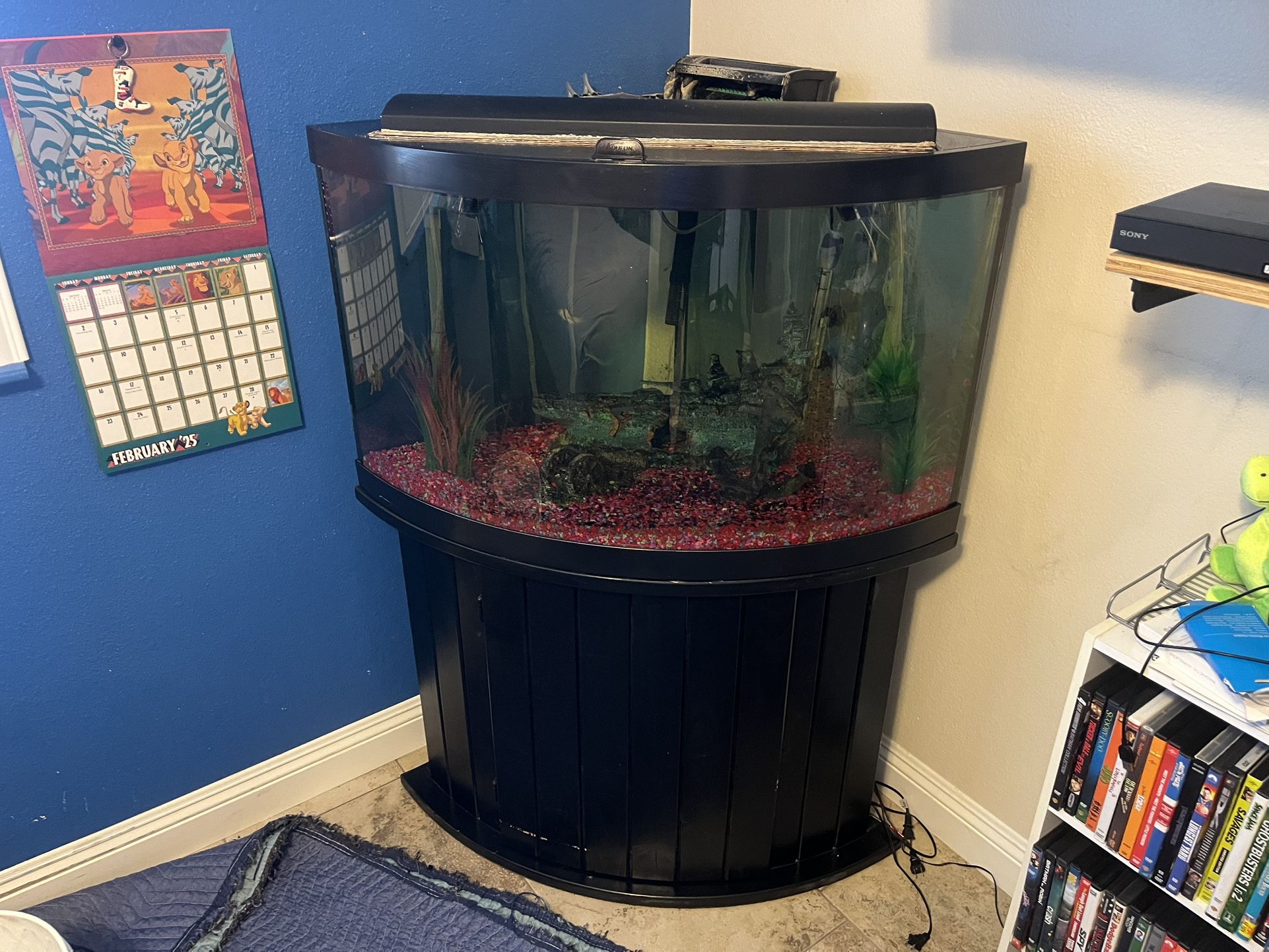 60 Gallon Bow Front Fish Tank