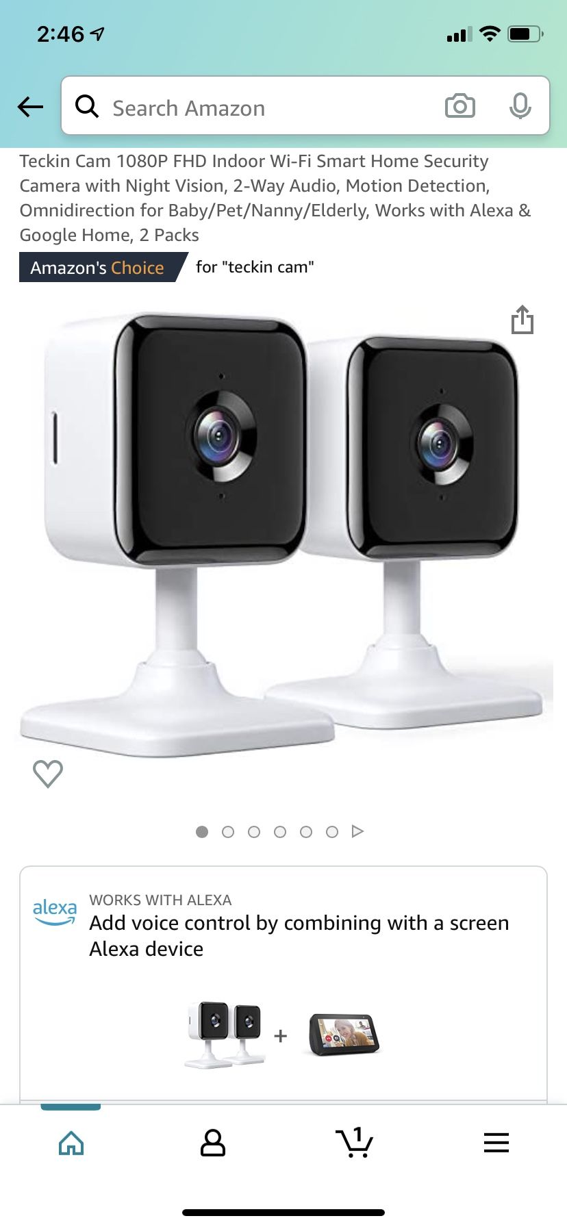 Teckin TC100 1080P HD WiFi Cam