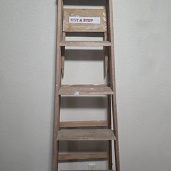 Werner 6ft wood ladder