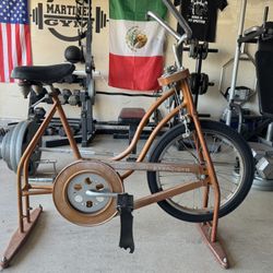 Schwinn  Exerciser