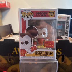 Mickey Mouse 737