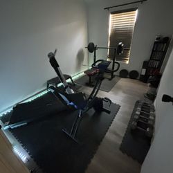 Gym Equipment 