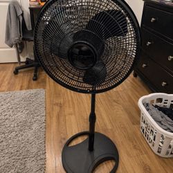 Lasko 16" 3-Speed Adjustable Oscillating Pedestal Fan