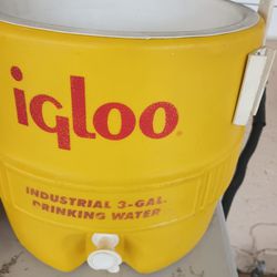 Igloo Cooler 