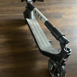 Bird Electric Scooter