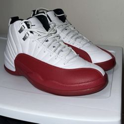 Air Jordan Retro 12 SIZE 9.5 DS