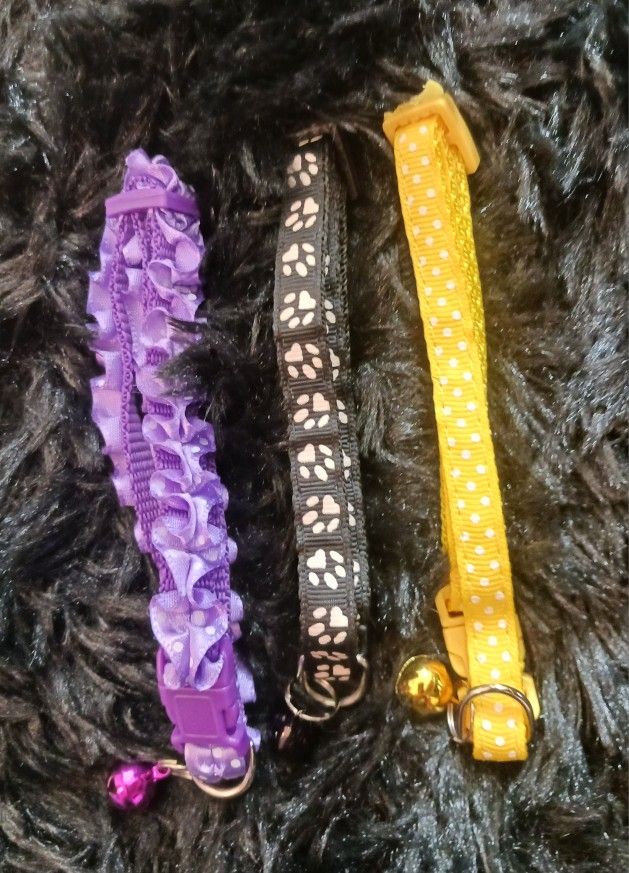 Three Cute Dog Collars