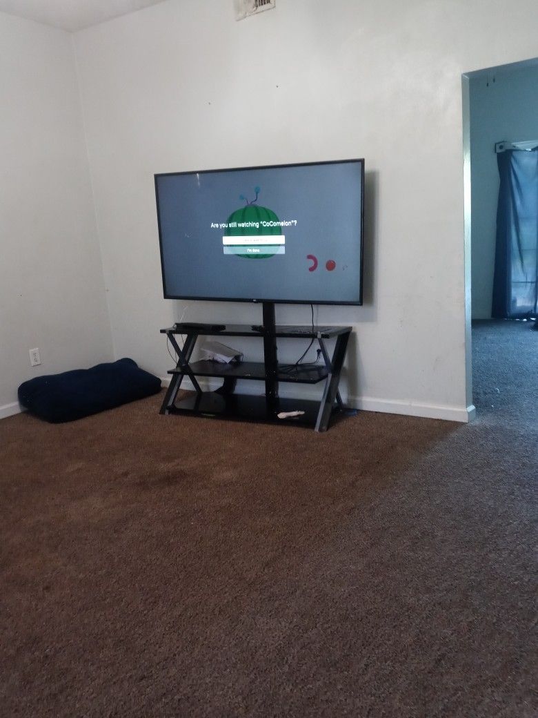 LG 65 Inch Tv With Stand