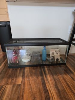 Hamster Habitat