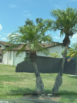 Rent/Apartment