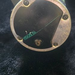 Daiwa Sealine Conventional Reel 