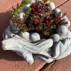 Grape Cluster Planter With Succulents