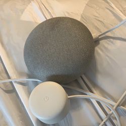 Google Home Mini 
