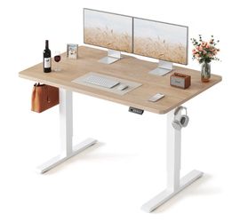 Standing Desk in Los Feliz