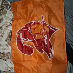 VINTAGE Bucs FLAG 