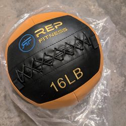 16 Lb Wall Ball 