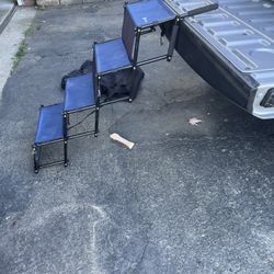 Dog Steps To Enter Car
