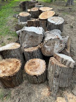Fire woods