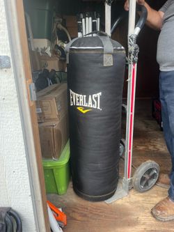 Everlast punching bag