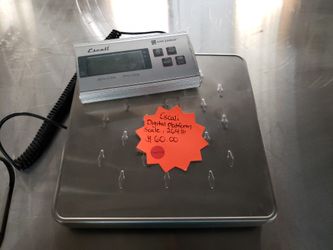 Used San Jamas Digital Platform Scale, 264 Lb