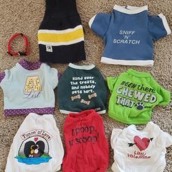 Small Dog Shirts, A Collar 