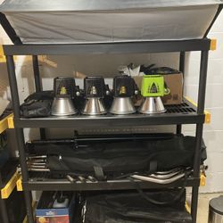 Paul C Buff AlienBees full lighting studio