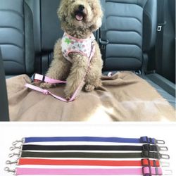 Pet Cat Dog Vehicle Leash