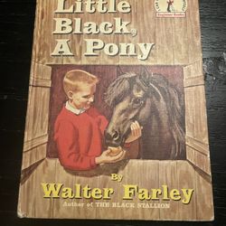 Little Black, A Pony