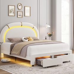 Queen LED Bed Frame with 2 Storage Drawers and Adjustable Semicircle Headboard